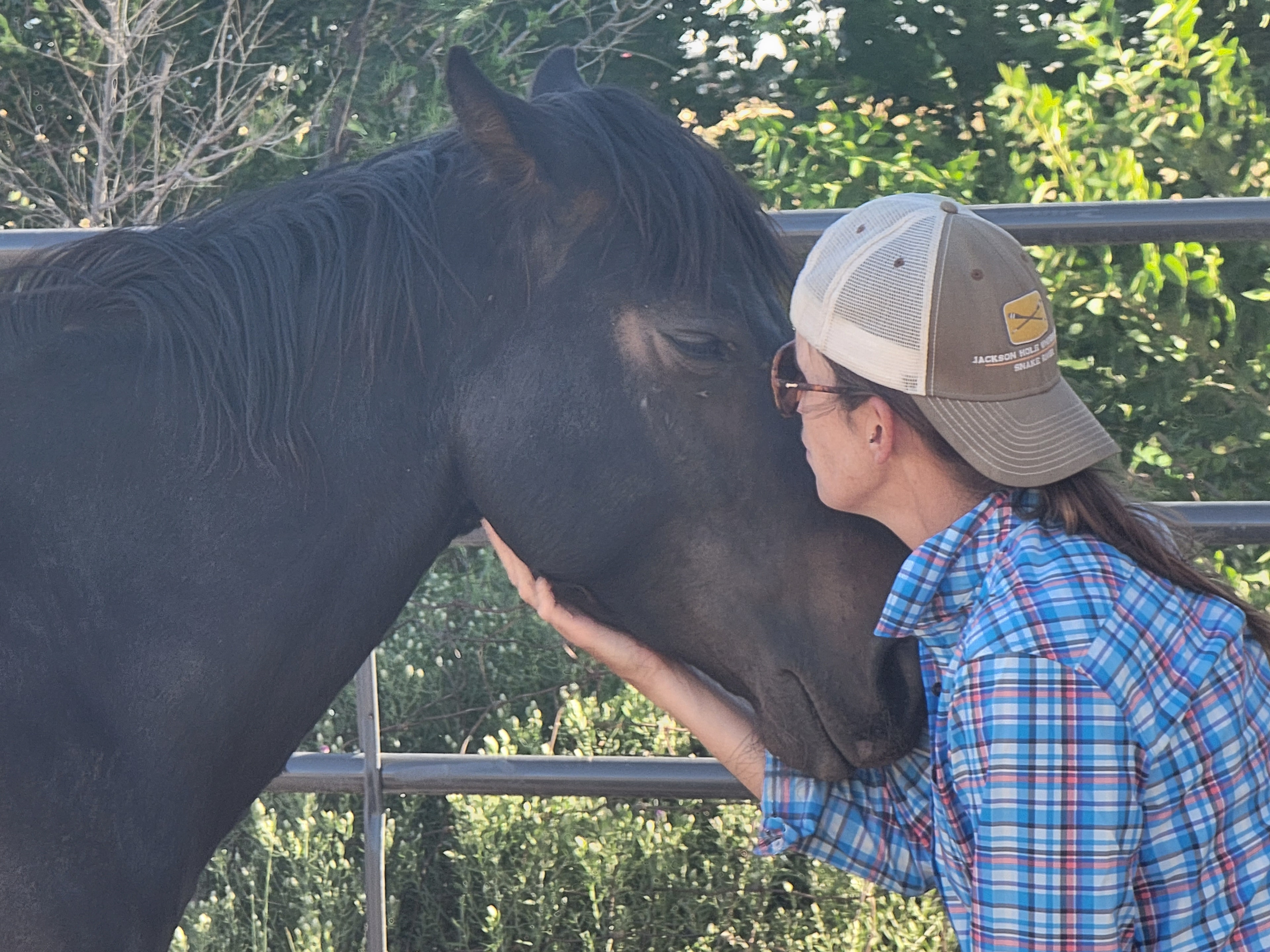 Quiet morning moment with a horse