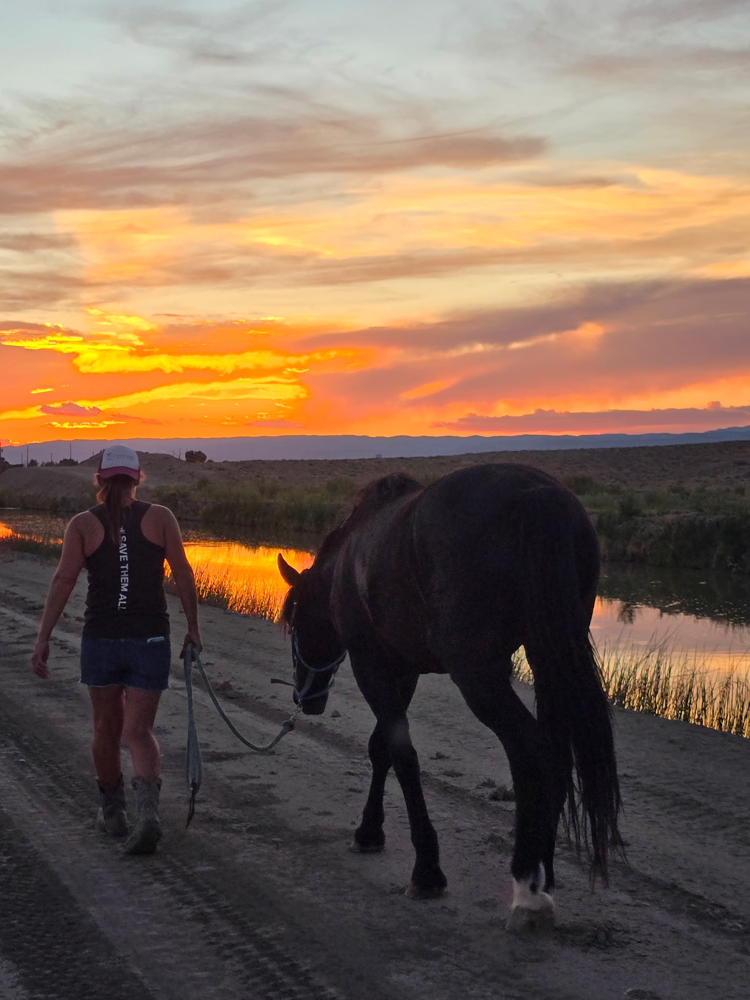 Coming Home Horse Coaching guide