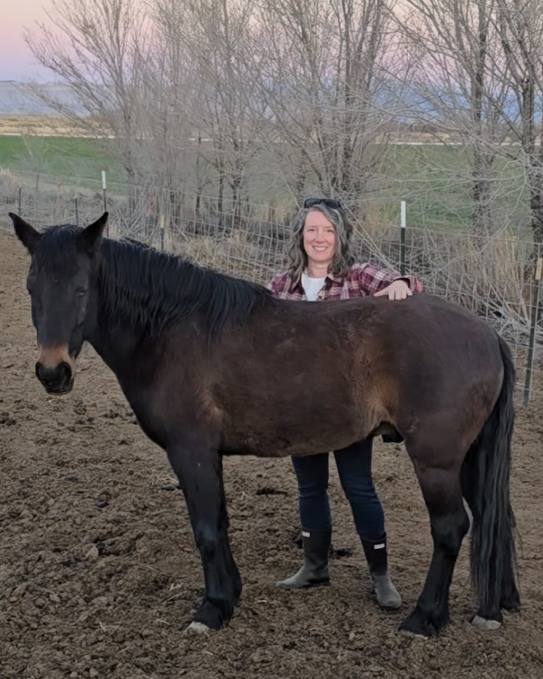 Horse-guided coaching session