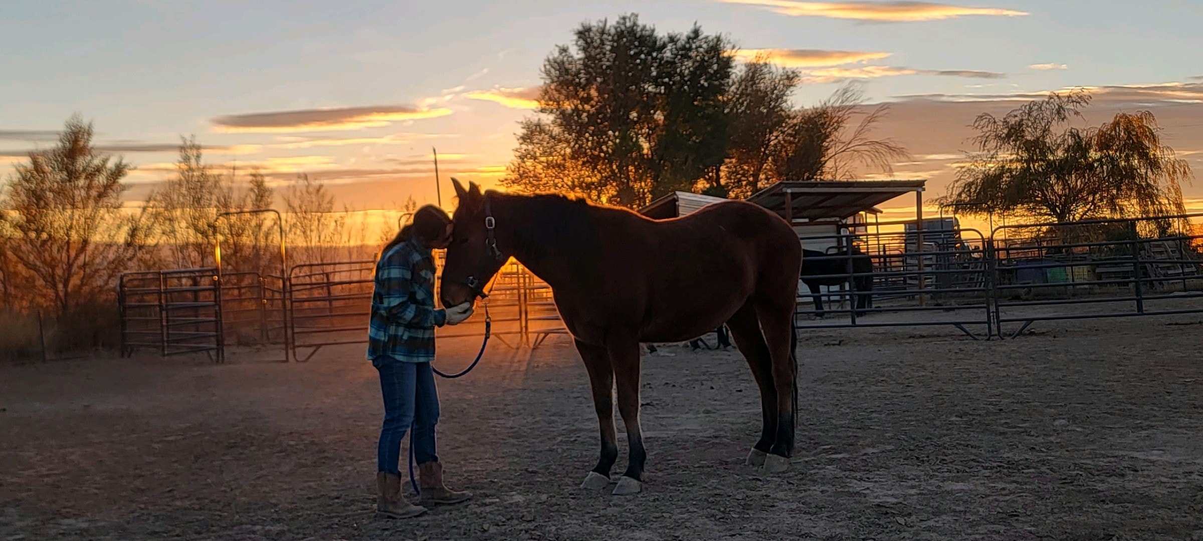 A person connecting with a horse in a Colorado field